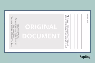 digital image of the back of a check; Sapling logo in bottom right