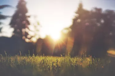 unsplash