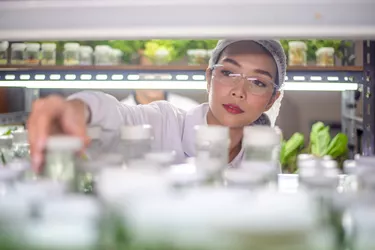 Food quality control expert inspecting specimens of groceries in the laboratory