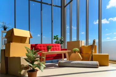 cardboard boxes stacked, plants, comfortable couch near big window inside of modern living room in new house, celebrating moving to new home concept, no people