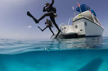 Giant stride entry into calm ocean.