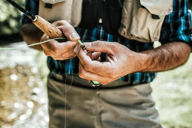 Fly Fishing