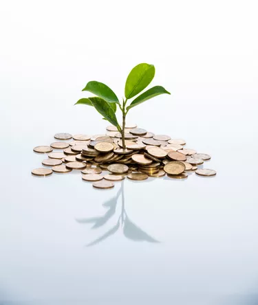 Little plant growing from a stack of coins