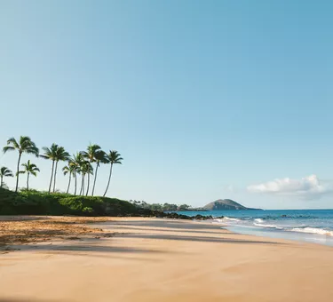serene beach