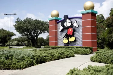 Mickey Mouse sign and surrounding scenery and terrain