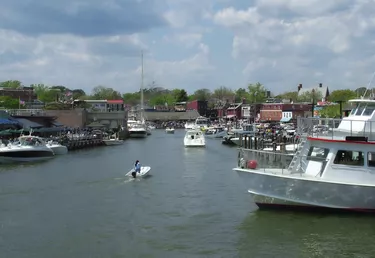Annapolis Harbor
