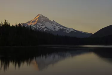 Mt. Hood Purple Haze