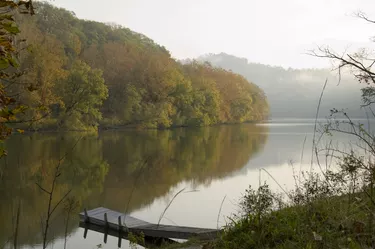 Misty autumn day