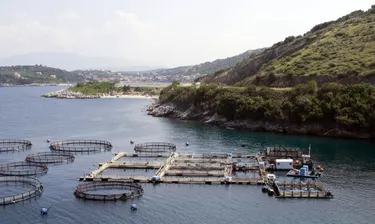 fish farm