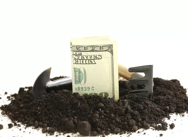 American dollars grow from the ground
