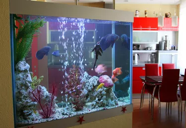 Aquarium in the house